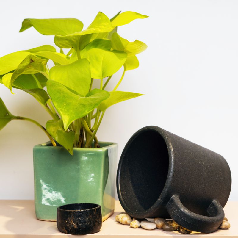 Rice Husk Mighty Mugs