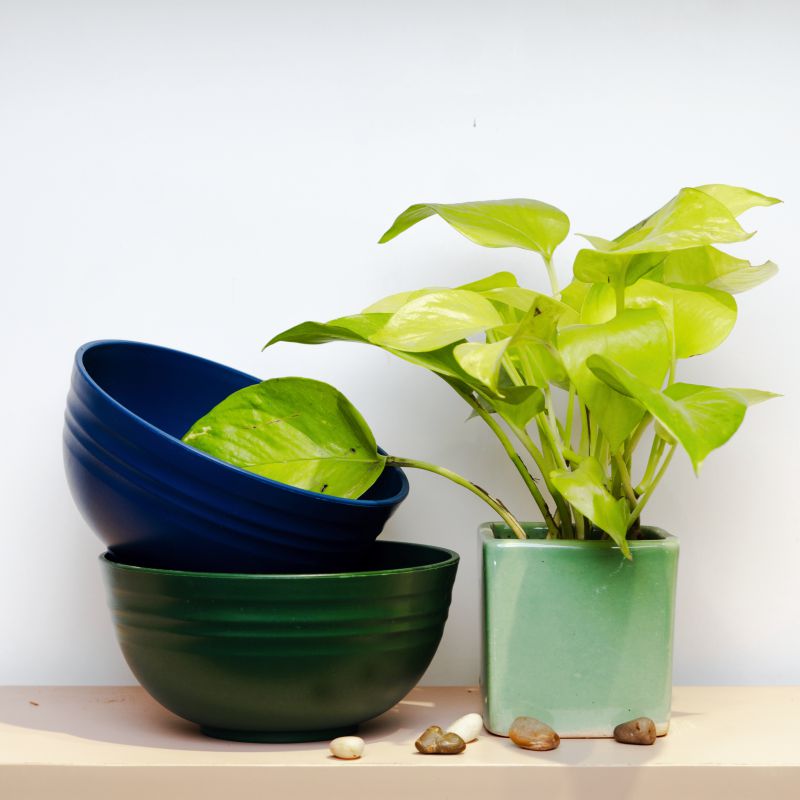 Wheat Straw Bowls Set of 4
