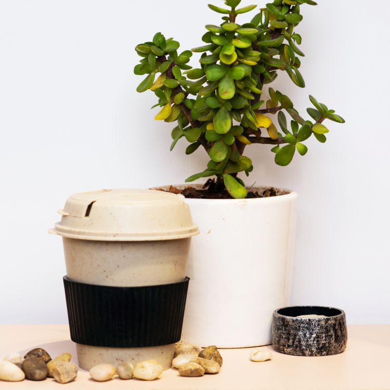 Beautiful mug made of responsibly sourced Bamboo fiber