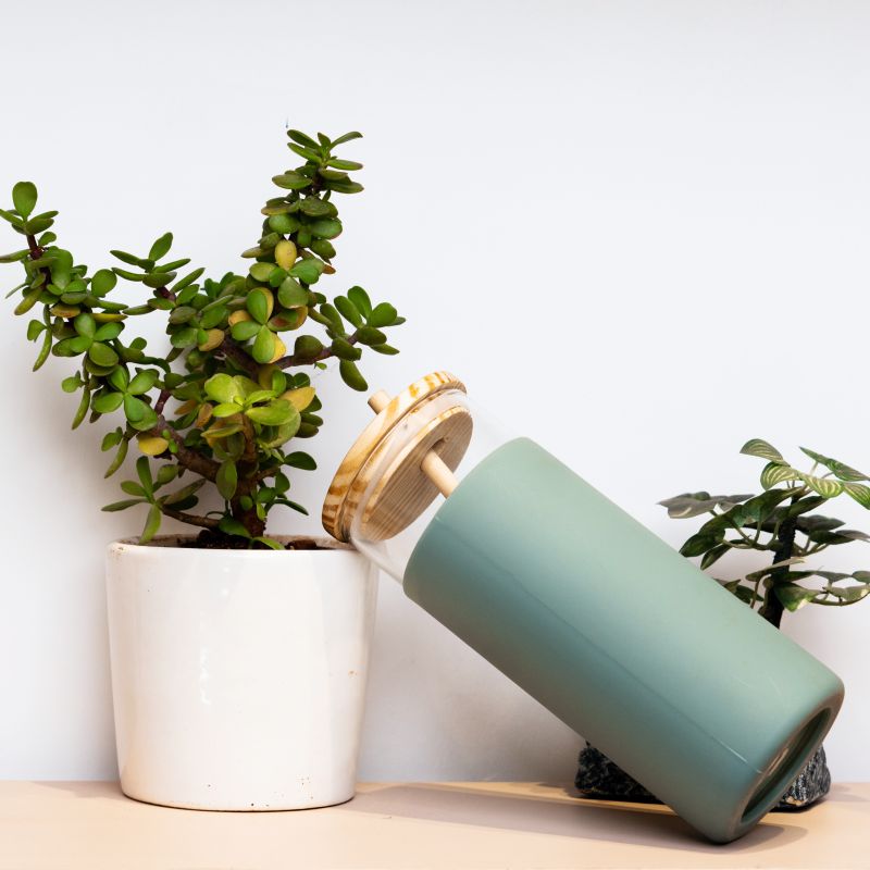 Glass Sipper With Bamboo Lid & Straw | Tumbler With Sleeve | Glass Water Bottle